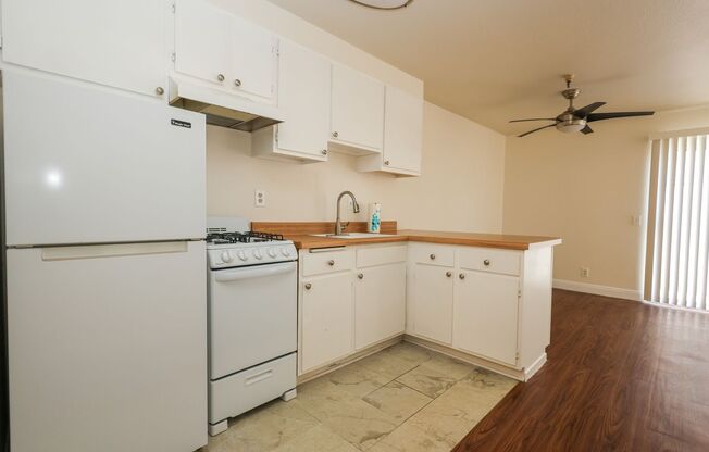 1 bed, 1 bath, 500 sqft, $2,195, Unit 102