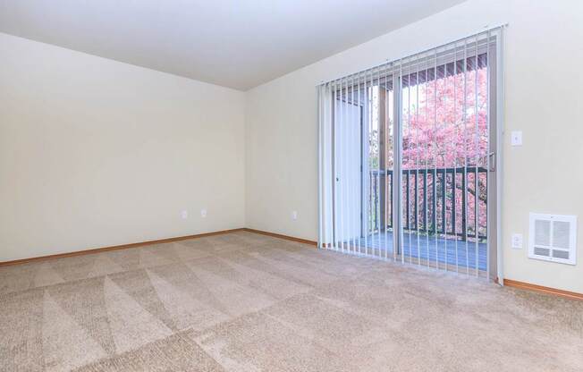 A room with a carpeted floor and a sliding glass door.