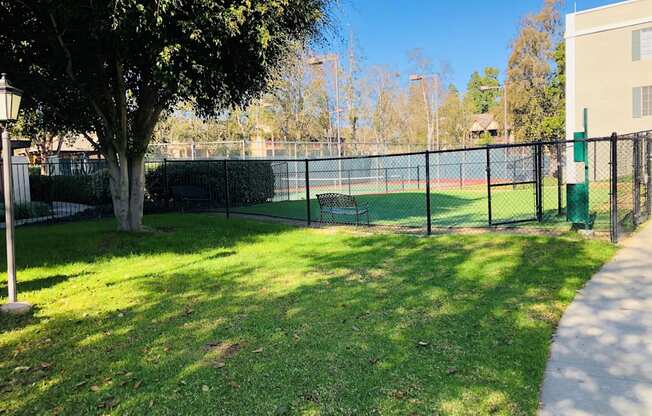 A tree is in the corner of a grassy area.