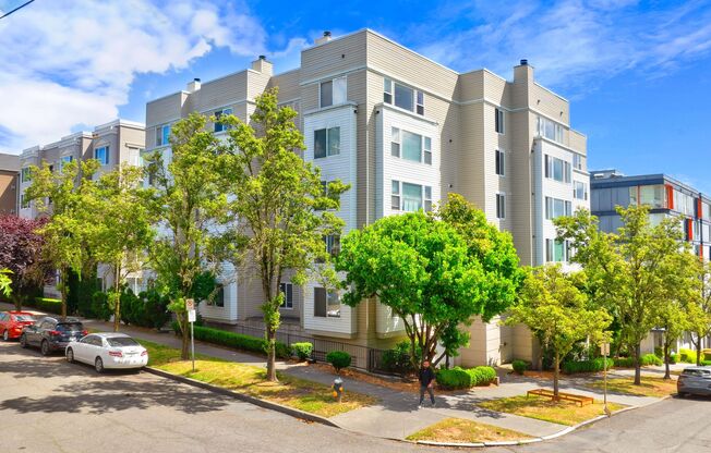 1 bed, 1 bath, 700 sqft, $1,915, Unit 304