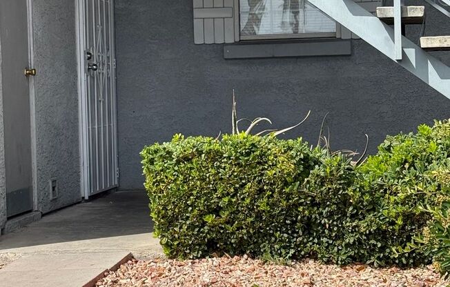 3823 South Maryland Parkway