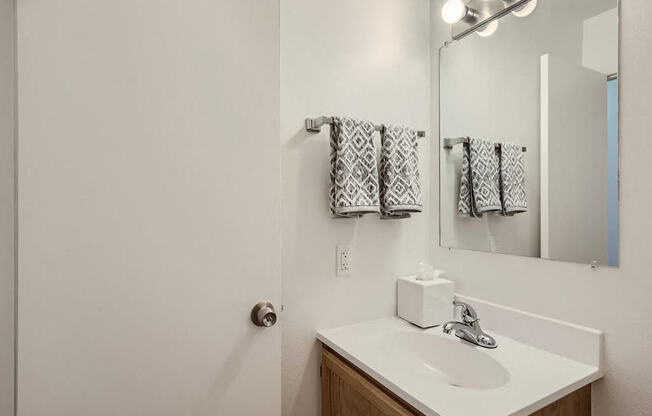 a bathroom with a sink and a mirror