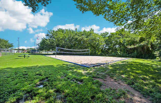 a volleyball court in a park with trees