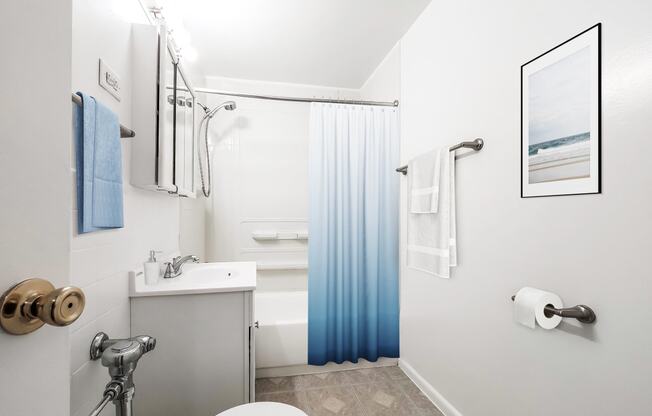 a bathroom with a white toilet and a blue shower curtain