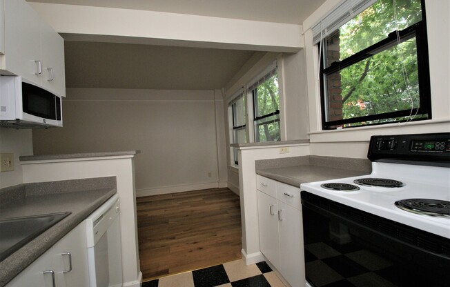 Studio, 1 bath, 405 sqft, $1,295, Unit 205