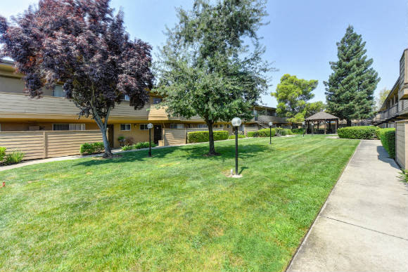 Green Outdoors Walkways with Grass, Trees and Apartment Exteriors