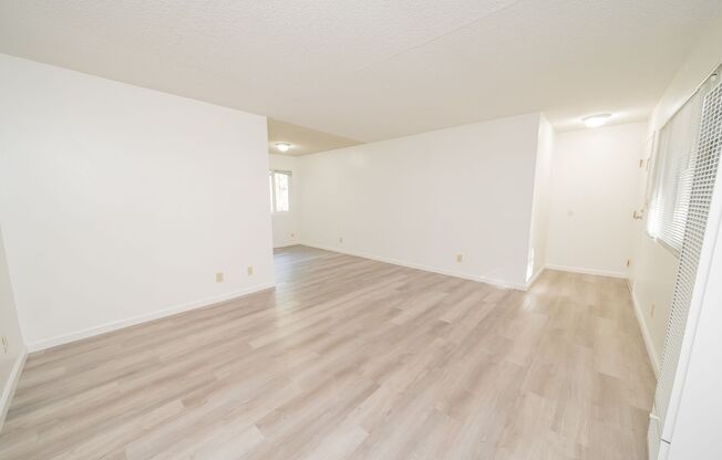 3667 Dimond - Adalie