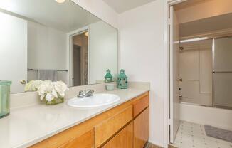 a kitchen with a sink and a mirror