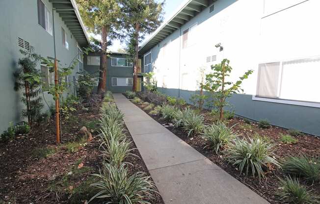 The Canopy | Exterior Building and Pathway