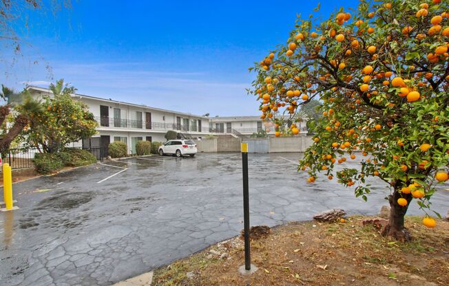 241 E Fremont Square