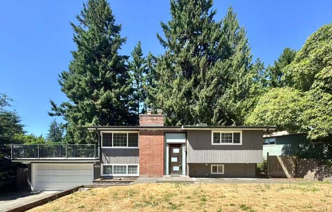 Modern Split-Level Home in Lake Hills for Rent