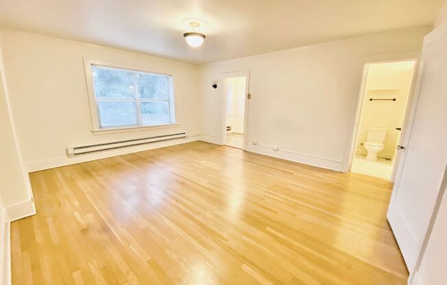 Studio, 1 bath, 425 sqft, $1,295, Unit 112