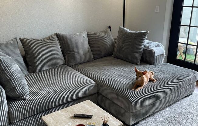 6th Floor 1 bedroom overlooking Downtown Orlando!