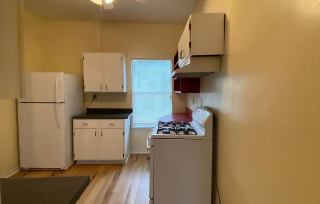 2 Bedroom House with Fenced Backyard near Downtown Athens - AUGUST 2025