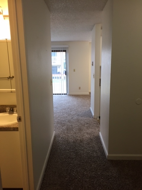 1 bed, 1 bath, 780 sqft, $1,479