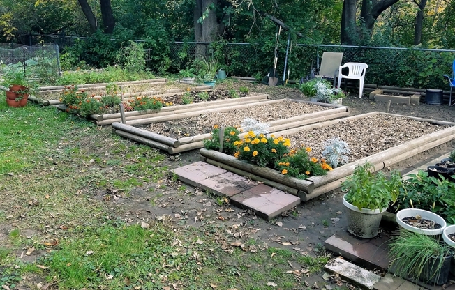 Studio, 1 bath, 494 sqft, $988, Unit 99-200