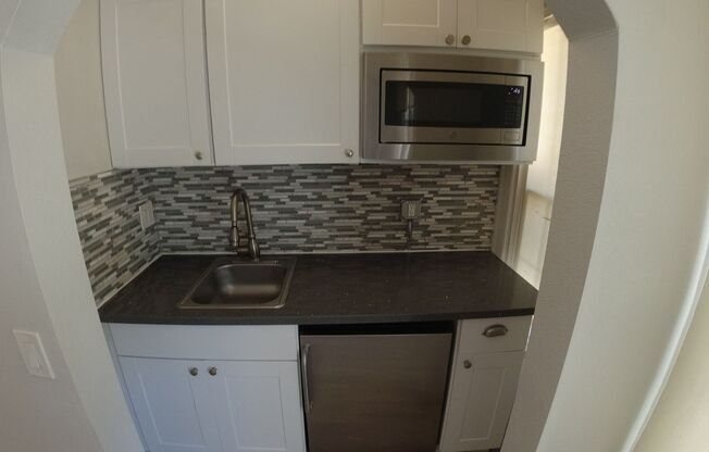 Studio, 1 bath, 220 sqft, $1,195, Unit 100