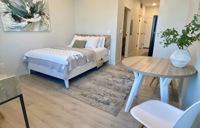 Studio, 1 bath, 365 sqft, $1,015, Unit 221