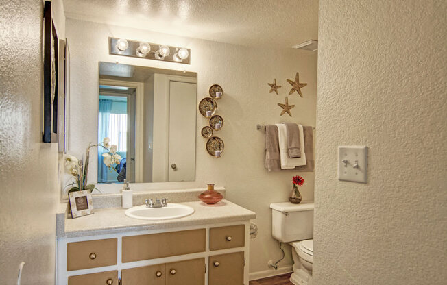 Welcome to Paradise Falls Apartment Homes