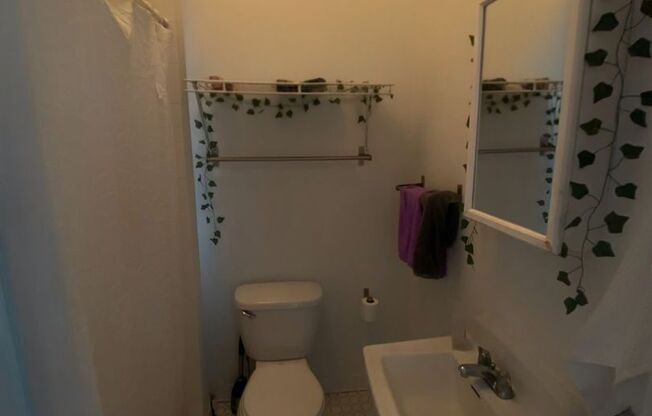 2 beds, 1 bath, $1,500, Unit 15-1