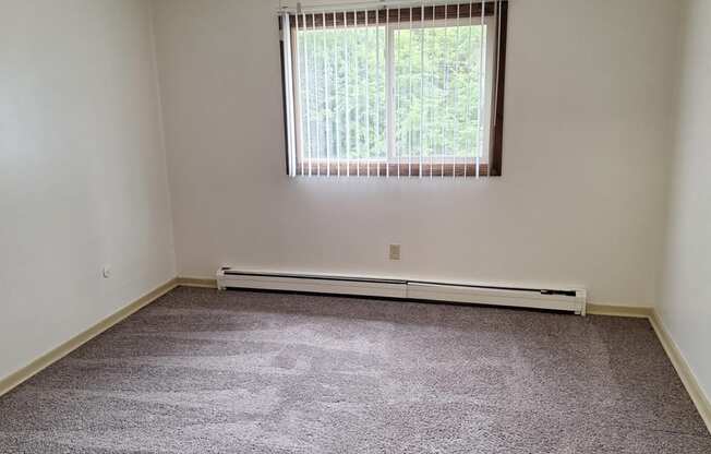 an empty room with carpet and a window