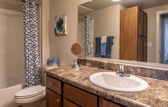 a bathroom with a sink and a toilet and a mirror