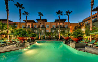 palm trees surrounding pool at twilight
