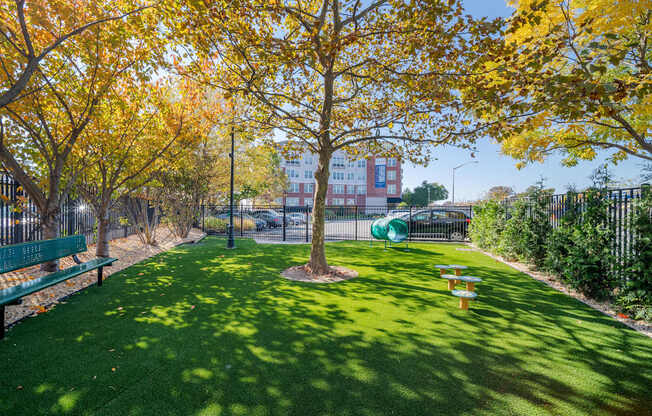 Resident dog park at West 130.