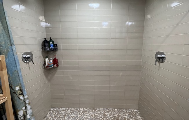 1 bed, 1 bath, 1,100 sqft, $4,200, Unit 307
