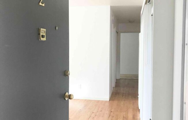 Huge! Renovated 3BR/1BA Apartment! Parking! Storage! Cats Welcomed! -PROGRESSIVE