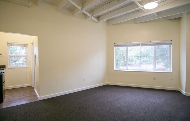 Studio, 1 bath, $1,075, Unit 200