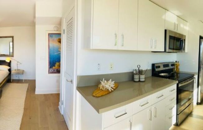 Studio, 1 bath, 489 sqft, $6,000, Unit A105