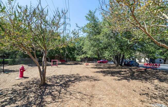 a dog park with trees and a red fire hydrant