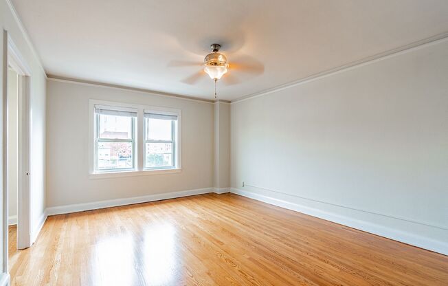 Studio, 1 bath, 475 sqft, $1,399, Unit 503