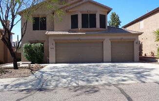 7486 E. Christmas Cholla Dr.
