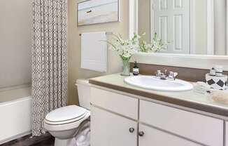 Bathroom with framed mirror at Carolina Point Apartments, Greenville