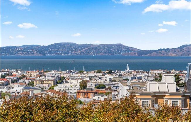 Pacific Heights Historic Home with Panoramic SF Bay views!!  Jules Clark ~ AMSI