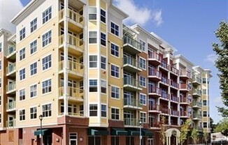Beautiful 1 Bed 1 Bath Condo in Downtown Redmond