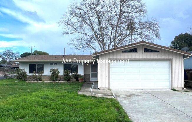 Concord Beautiful 3 bedroom 2 bathroom home. New kitchen & bathrooms! Available 03/01/24