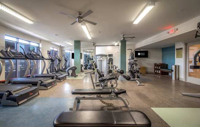 A gym with treadmills, exercise bikes, and other equipment.