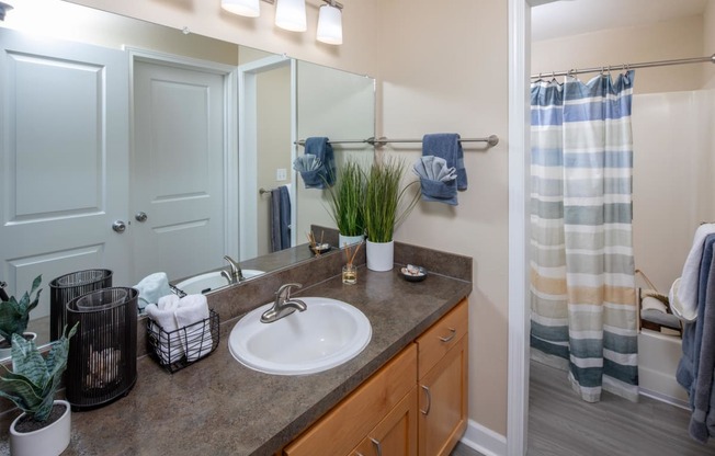 a bathroom with a sink and a shower and a mirror
