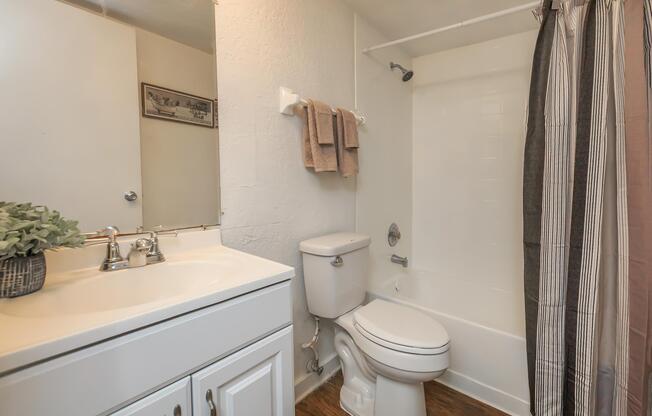 a shower that has a sink and a mirror