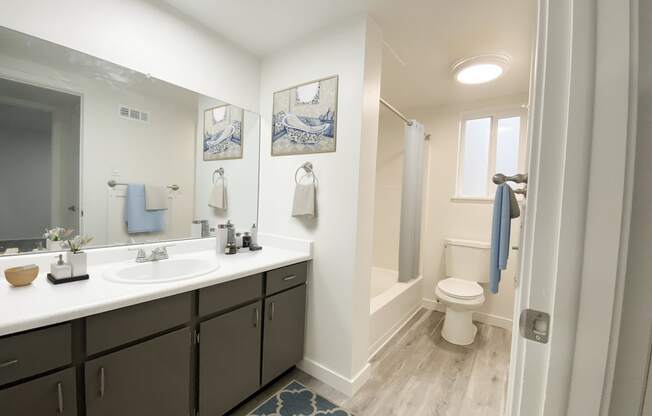 Full bathroom with extended countertop, large mirror, under-sink storage, and privacy wall leading to shower and toilet.at Summit, Pocatello Idaho