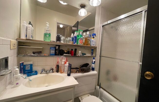 Studio, 1 bath, 400 sqft, $1,295, Unit 3160-406