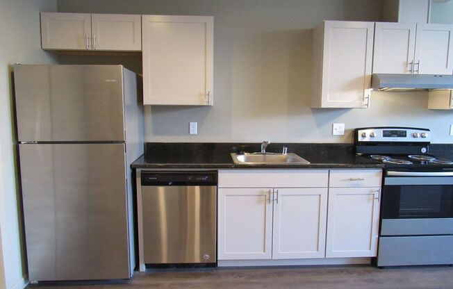 Studio, 1 bath, 477 sqft, $1,300, Unit 209