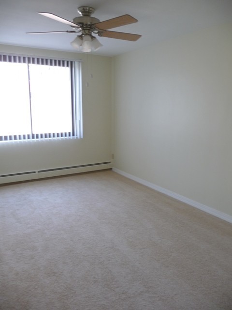 1 bed, 1 bath, 650 sqft, $1,295, Unit 3029305