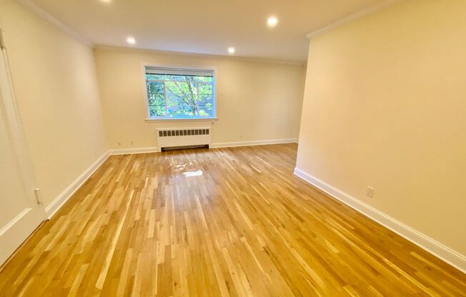 Spacious 1-Bedroom Apartment in Coolidge Corner – 1 Month Free!