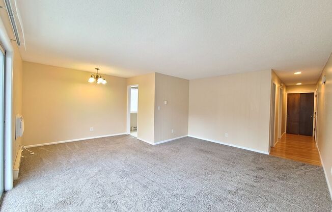 1 bed, 1 bath, 560 sqft, $1,050, Unit 207