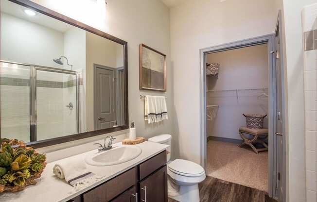 Sorrel Fairview Bathroom Apartments near Dallas, Texas