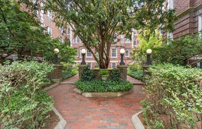 41 LINNAEAN ST